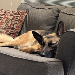 Fundraising Page: Chris Barbera